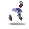Skulking Colony