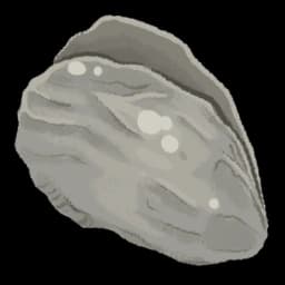 Nutritious Oyster